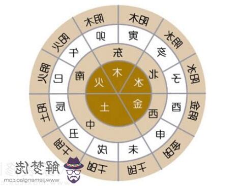 五行 木的行業